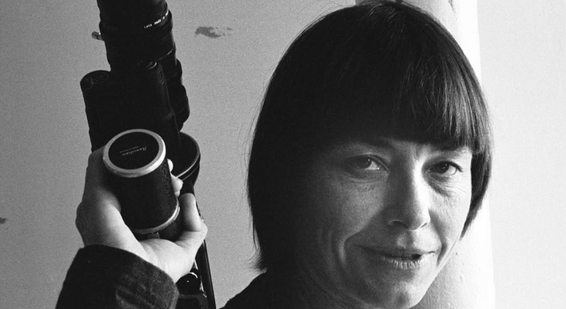 30 anos de QueerLisboa: o que não podem perder no festival